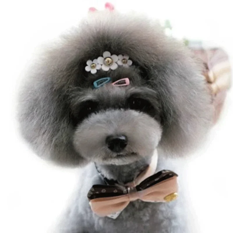 5 sztuk/zestaw koreański Mini  – Vintage Fashion Dolls recenzja i cena